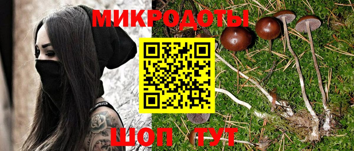 Галлюциногенные грибы MAGIC MUSHROOMS Кинель
