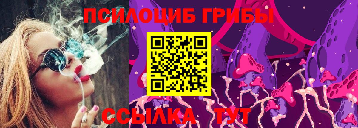 Кинель  Галлюциногенные грибы MAGIC MUSHROOMS  продажа наркотиков  Вход с VPN 